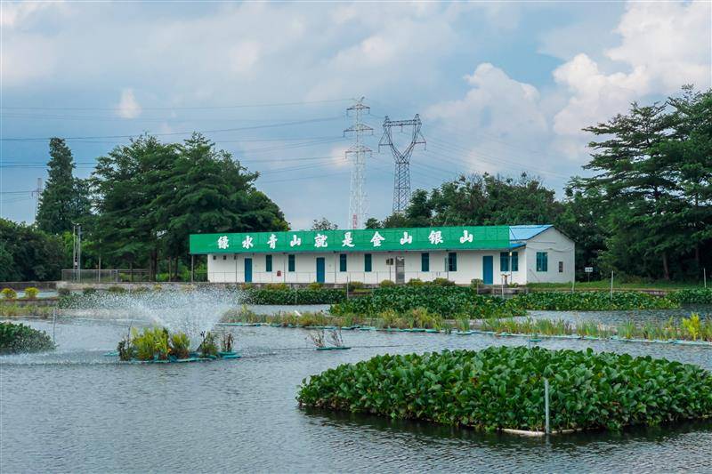 空氣能熱泵在水產養(yǎng)殖中對扇貝的影響_什么牌子的空氣能好