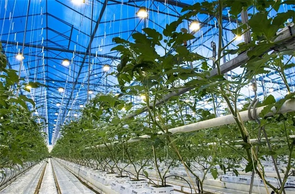 溫室大棚安裝恒溫采暖設(shè)備的作用_空氣能取暖器費(fèi)電嗎 一天多少度