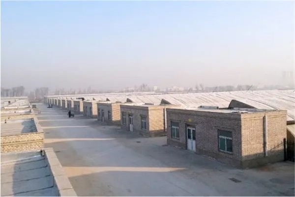 空氣能熱泵給蔬果大棚創(chuàng)造良好的生長環(huán)境_修太陽能熱水器上門電話