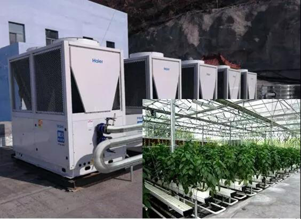 用海爾空氣能取暖天津蔬菜大棚越冬環(huán)保又經(jīng)濟(jì)！_空氣能供暖工作原理圖