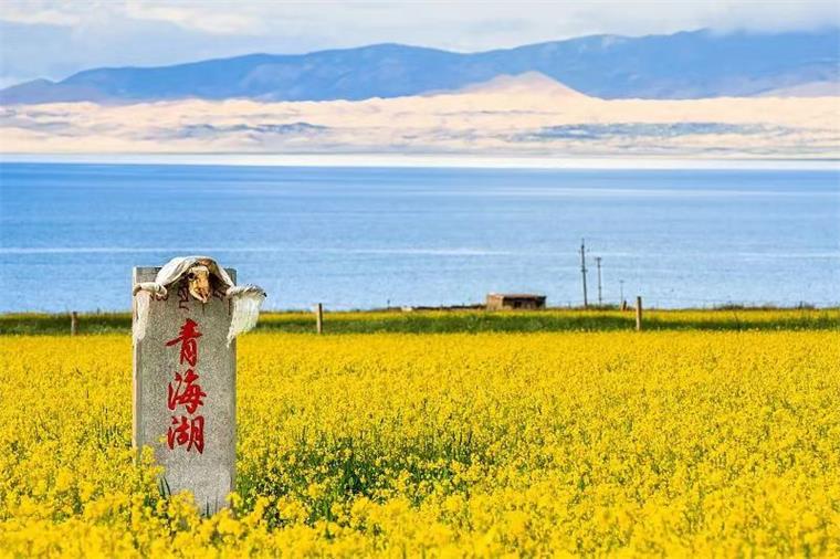 征服高寒的綠色先鋒！生能空氣能以一個(gè)個(gè)項(xiàng)目在青海打造溫暖節(jié)能新標(biāo)桿！_合資空氣能品牌